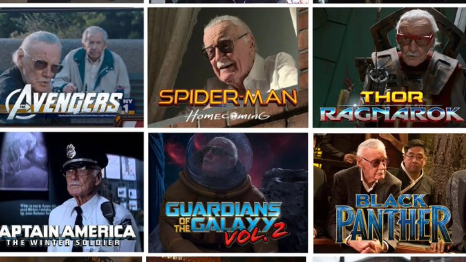 Stan Lee cameos in Marvel Movies // Image: Reddit
