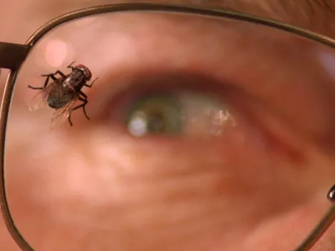 ‘Breaking Bad’ Turns 18: Why the ‘Fly’ Episode Still Divides Fans Today