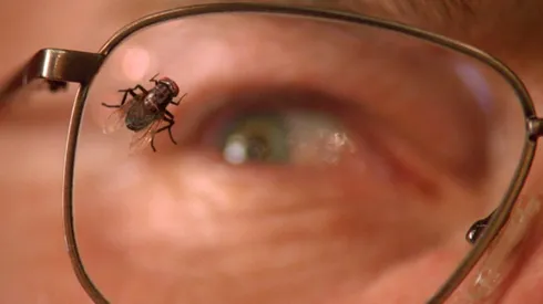 Bryan Cranston in "Breaking Bad."
