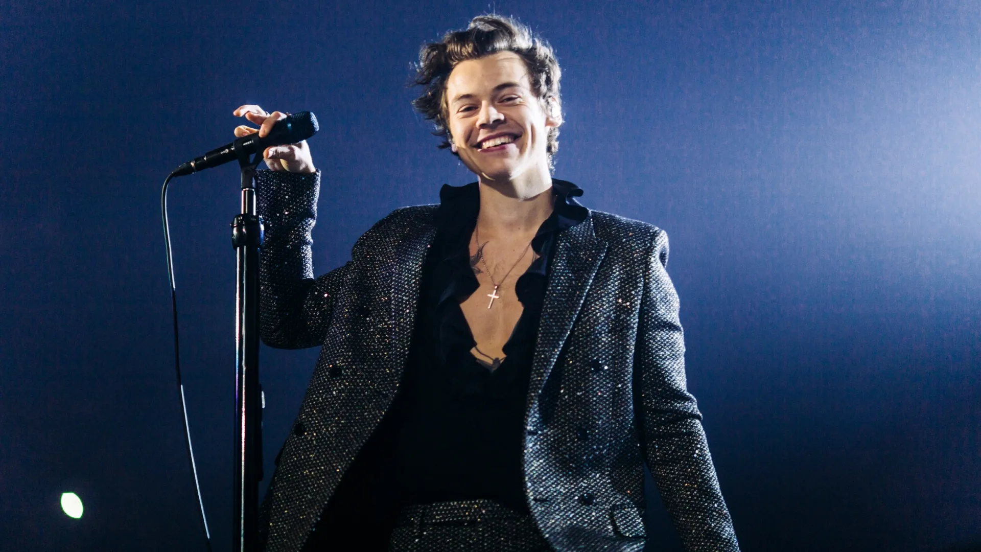 Harry Styles (Source: Handout/Helene Marie Pambrun via Getty Images)