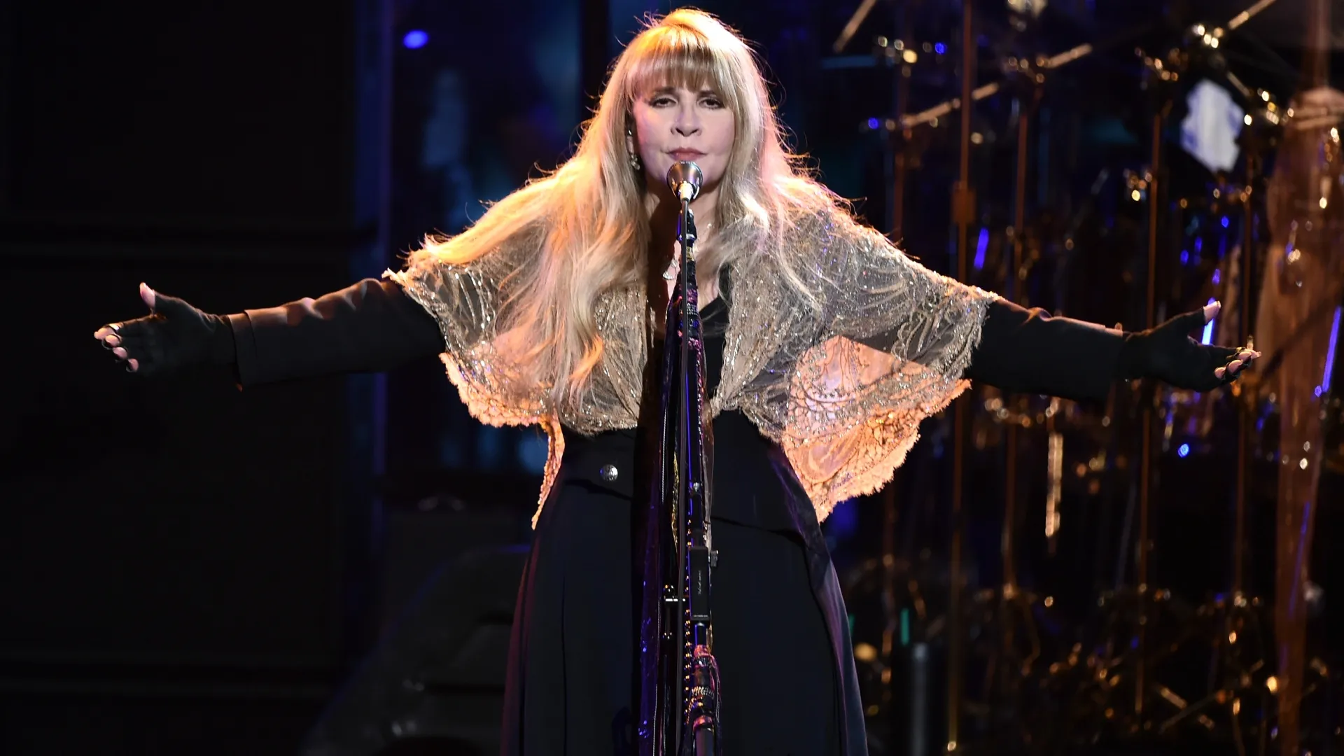 Stevie Nicks (Source: Steven Ferdman/Getty Images)
