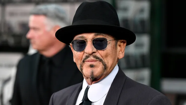 Joe Pesci attends the Premiere Of Netflix's "The Irishman" in 2019.