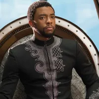 Wakanda Forever! Black Panther Was Released 8 Years Ago: Remembering the Global Phenomenon