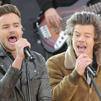 Harry Styles Reflects on Liam Payne’s Death and the Struggle of Public Grief