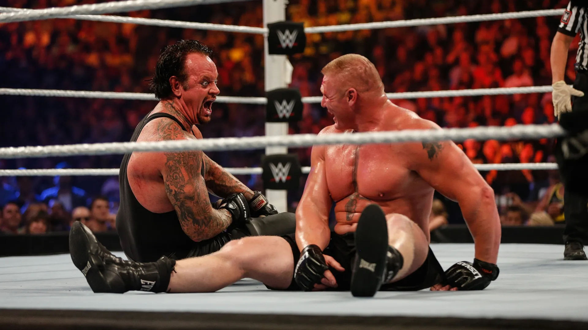 Brock Lesnar and The Undertaker battle it out at the WWE SummerSlam 2015 (Source: JP Yim/Getty Images)