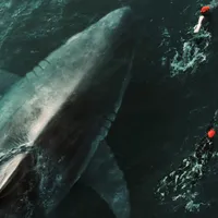 ‘Under Paris 2’ Confirmed: Netflix Expands Its Shark Hit for 2027