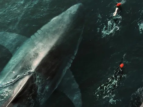 ‘Under Paris 2’ Confirmed: Netflix Expands Its Shark Hit for 2027