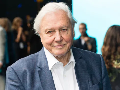 David Attenborough Turns 100 Today: The Life and Career of the Legendary TV Host