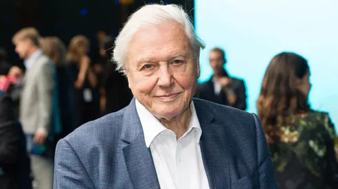 David Attenborough attends the World Premiere of "Blue Planet II" on September 27, 2017