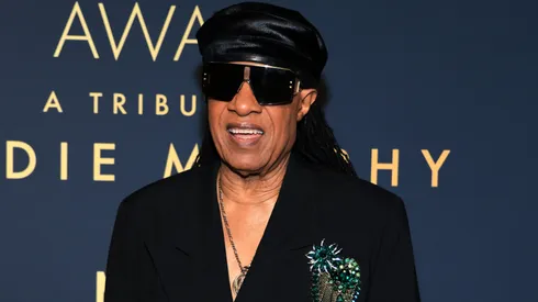 Stevie Wonder attends the 51st AFI Life Achievement Award: A Tribute To Eddie Murphy