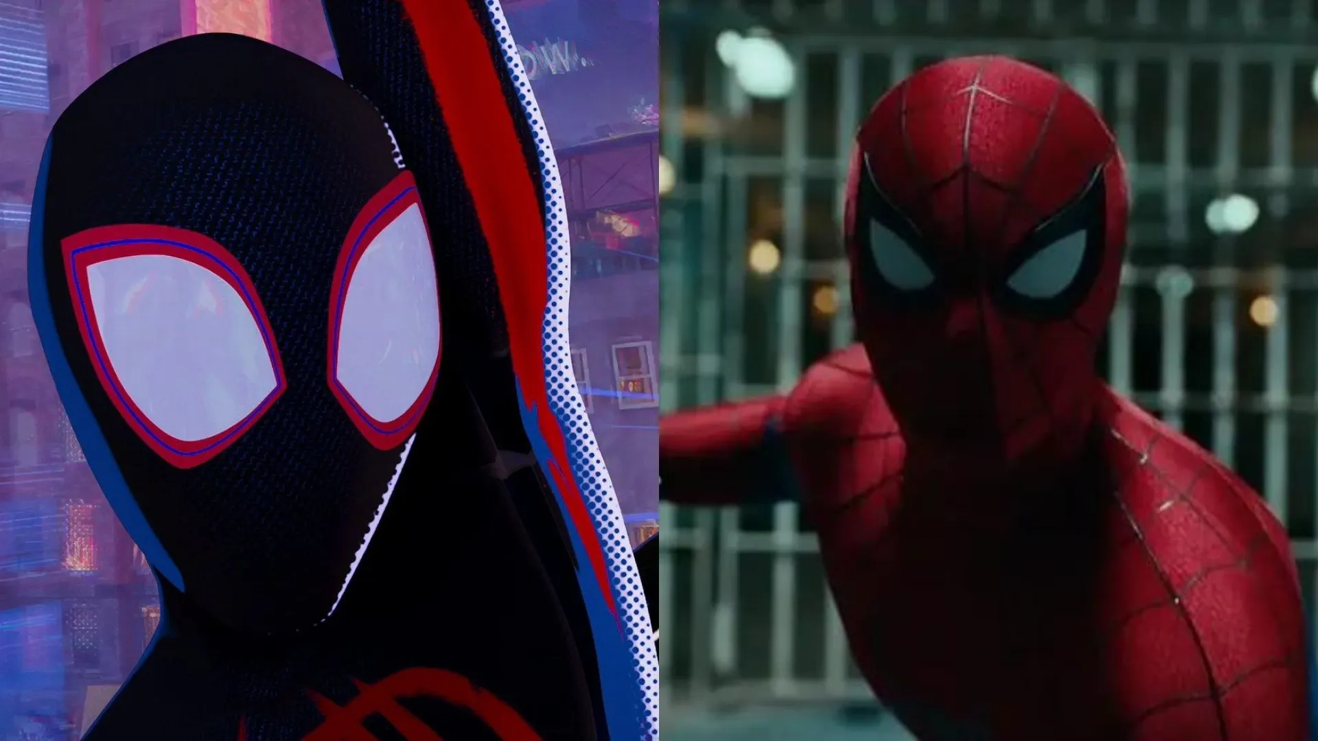 Spider-Man: Across the Spider-Verse and Spider-Man: Brand New Day (Source: IMDb)